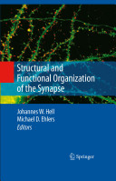 Structural and functional organization of the synapse /