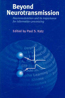 Beyond neurotransmission : neuromodulation and its importance for information processing /