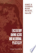 Excitatory amino acids and neuronal plasticity /