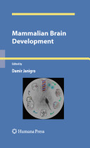 Mammalian brain development /