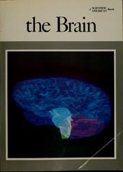 The Brain.