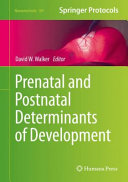 Prenatal and Postnatal Determinants of Development /