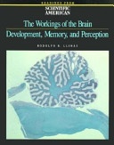The Workings of the brain : development, memory, and percption : readings from Scientific American magazine /
