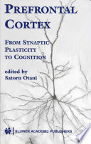 Prefrontal cortex : from synaptic plasticity to cognition /