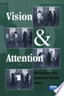 Vision and attention /