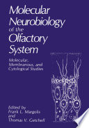 Molecular neurobiology of the olfactory system : molecular, membranous, and cytological studies /