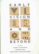 Early vision and beyond /