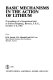 Basic mechanisms in the action of lithium : proceedings of a symposium held at Schloss Ringberg, Bavaria, F.R.G., October 4-6, 1981 /