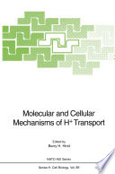 Molecular and cellular mechanisms of H transport /