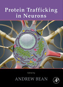 Protein trafficking in neurons /