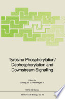 Tyrosine phosphorylation/dephosphorylation and downstream signalling /