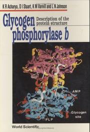 Glycogen phosphorylase b : description of the protein structure /