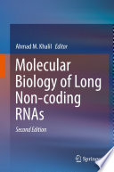 Molecular Biology of Long Non-coding RNAs /