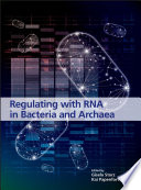 Regulating with RNA in bacteria and archaea /