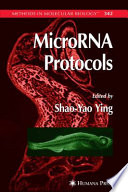 MicroRNA protocols /