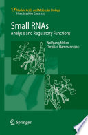 Small RNAs : analysis and regulatory functions /