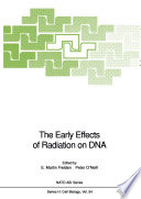 The early effects of radiation on DNA /
