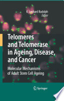 Telomeres and telomerase in aging, disease, and cancer : molecular mechanisms of adult stem cell ageing /