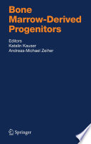 Bone marrow-derived progenitors /