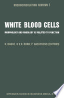 White blood cells : morphology and rheology as related to function : proceedings, with commentary, of the symposium held at London, England, October 3-4, 1981 /