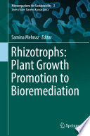 Rhizotrophs plant growth promotion to bioremediation /