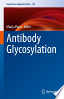 Antibody Glycosylation /