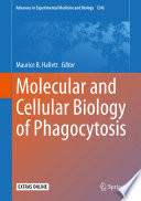 Molecular and Cellular Biology of Phagocytosis  /