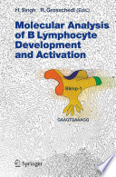 Molecular analysis of B lymphocyte development and activation /