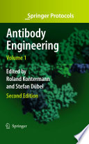 Antibody engineering.