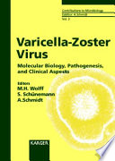 Varicella-Zoster virus : molecular biology, pathogenesis, and clinical aspects /
