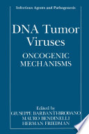 DNA tumor viruses : oncogenic mechanisms /