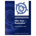 DNA virus replication /