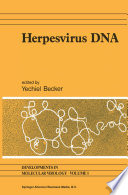 Herpesvirus DNA : recent studies on the organization of viral genomes, mRNA transcription, DNA replication, defective DNA, and viral DNA sequences in transformed cells and bacterial plasmids /