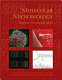 Molecular microbiology : diagnostic principles and practice /