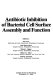 Antibiotic inhibition of bacterial cell surface assembly and function /