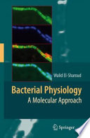 Bacterial physiology : a molecular approach /