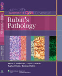 Lippincott's illustrated Q&A review of Rubin's pathology /