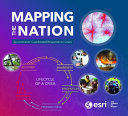 Mapping the nation : governments' coordinated responses to crises.