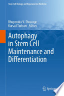 Autophagy in Stem Cell Maintenance and Differentiation /
