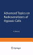 Advanced topics on radiosensitizers of hypoxic cells /