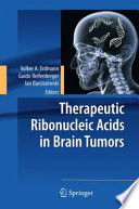 Therapeutic ribonucleic acids in brain tumors /