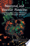 Neuronal and vascular plasticity : elucidating basic cellular mechanisms for future therapeutic discovery /