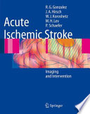 Acute ischemic stroke : imaging and intervention /