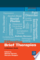 Effective brief therapies : a clinician's guide /