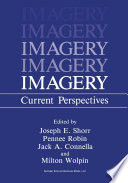 Imagery : current perspectives /