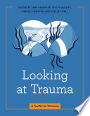 Looking at trauma : a tool kit for clinicians /