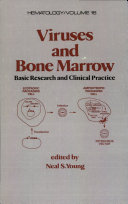 Viruses and bone marrow : basic research and clinical practice /
