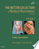 The Netter Collection of medical illustrations.