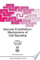 Vascular endothelium : mechanisms of cell signaling /