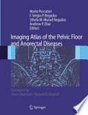 Imaging atlas of the pelvic floor and anorectal diseases /